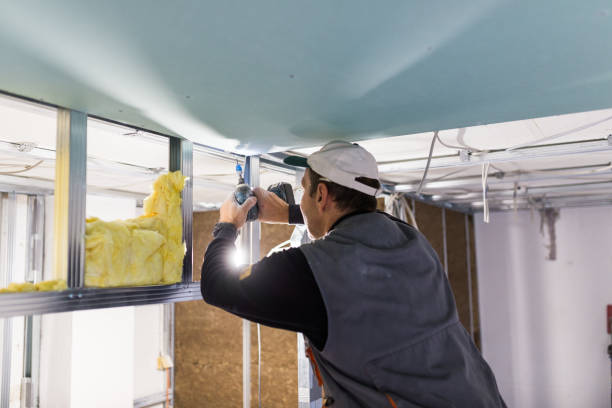 Best Specialized Insulation Services in Derby, CT