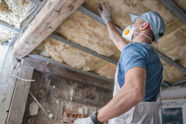 Best Geographic-Specific Insulation Services in Derby, CT